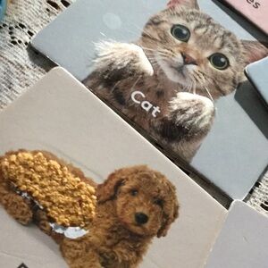 School cards game learning geriatric pediatric pictures texture travel